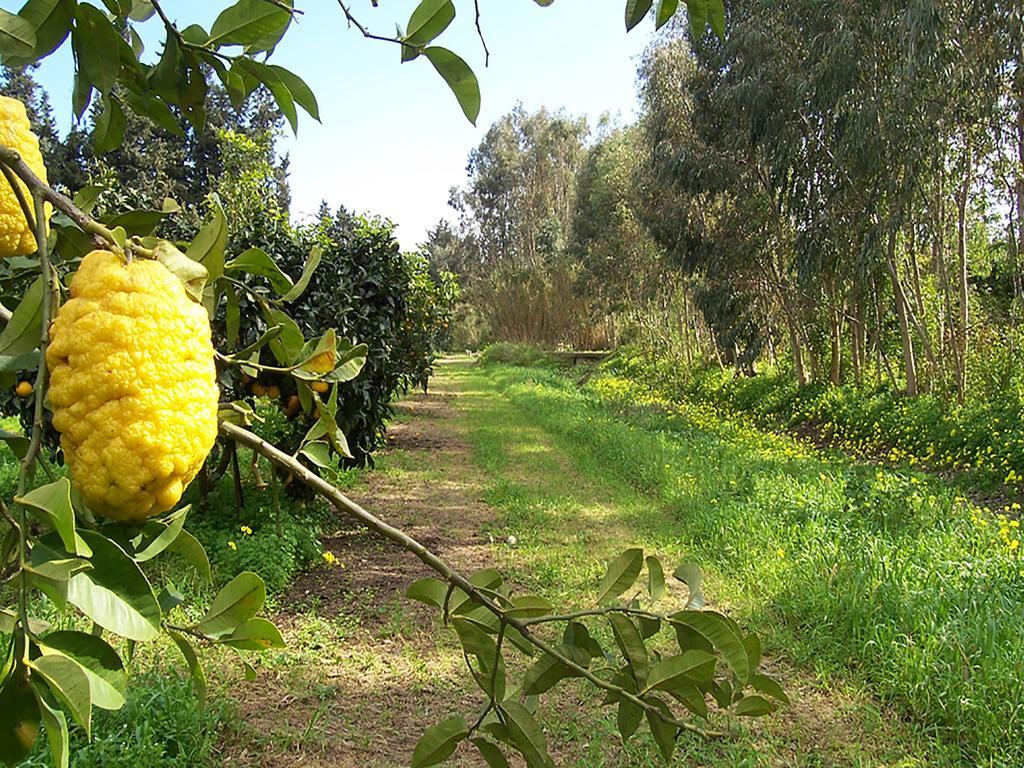 Luna&Limoni Country Muravera Kültér fotó