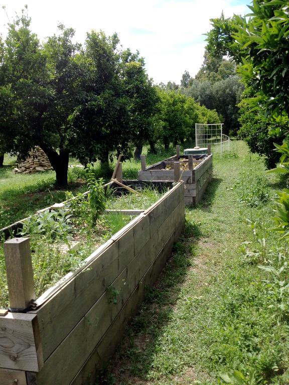 Luna&Limoni Country Muravera Kültér fotó